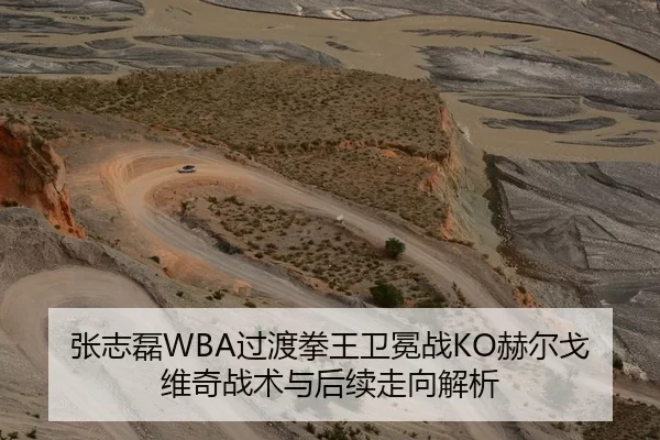 张志磊WBA过渡拳王卫冕战KO赫尔戈维奇战术与后续走向解析